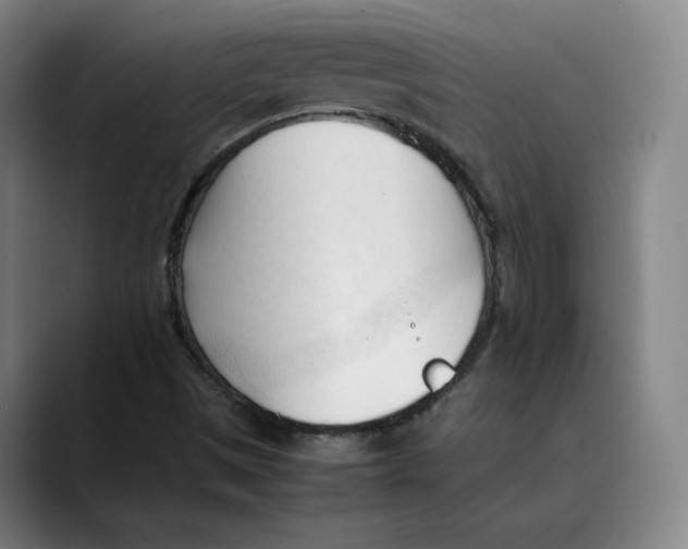 X0000089351497200707131521
