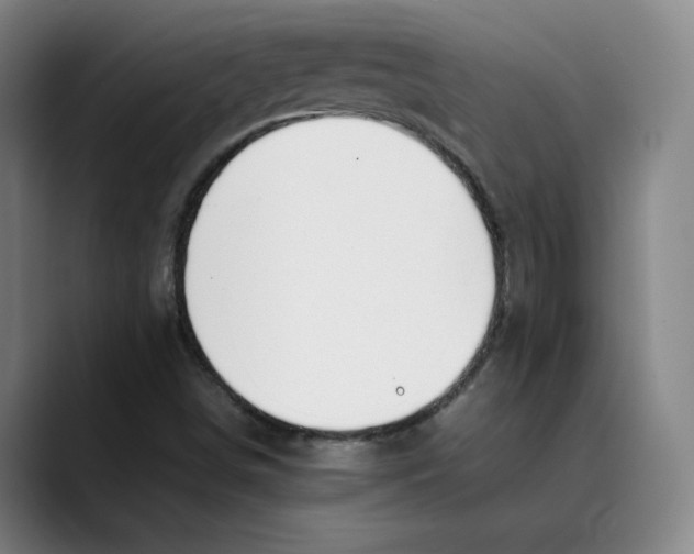 X0000089351498200707131521