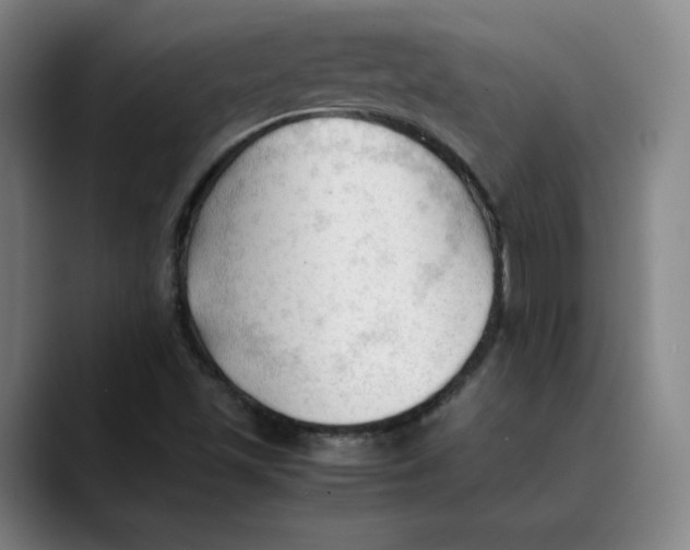 X0000089351501200707131521