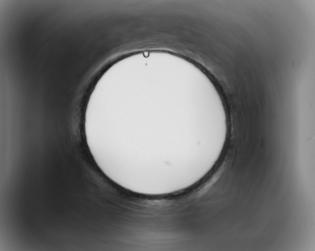 X0000089351502200707131521