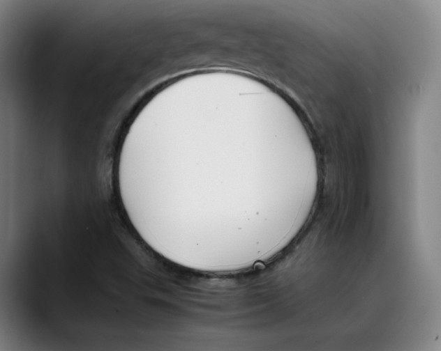 X0000089351503200707131521