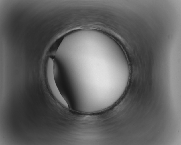 X0000089351506200707131521