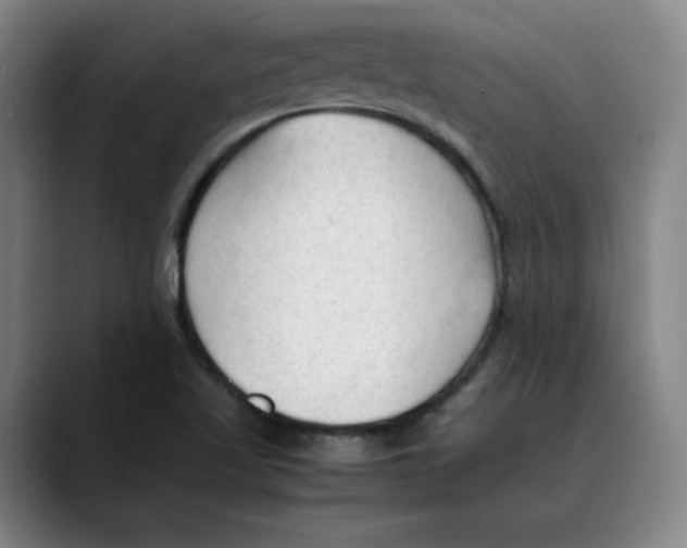 X0000089351509200707131521