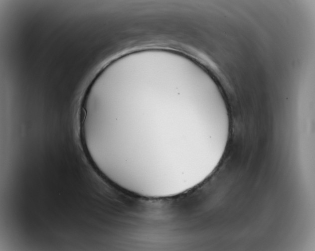 X0000089351512200707131521