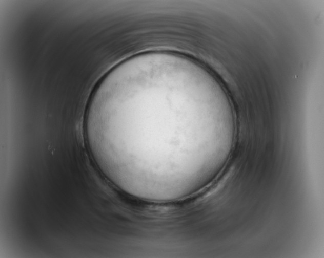 X0000089351513200707131521