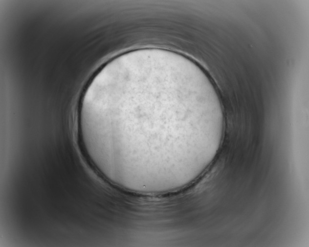 X0000089351515200707131521