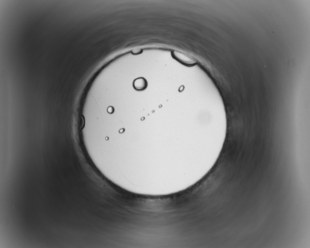 X0000089351518200707131522