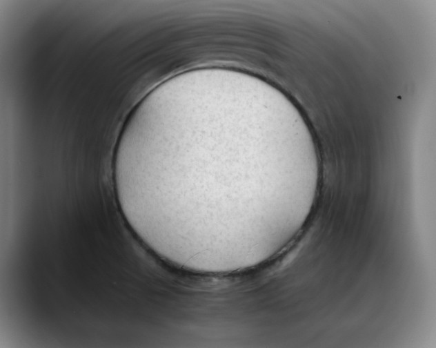 X0000089351521200707131522