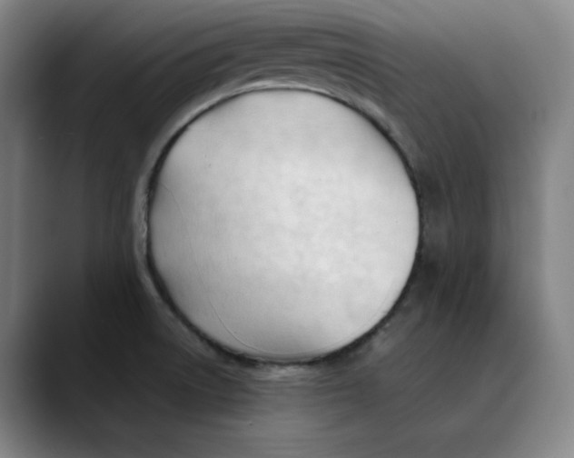 X0000089351522200707131522