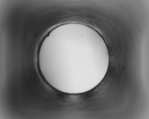 X0000089351523200707131522