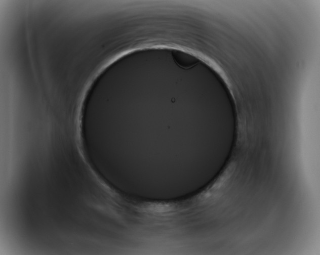 X0000089351525200707131522
