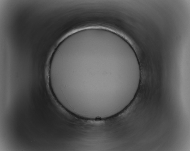 X0000089351526200707131522