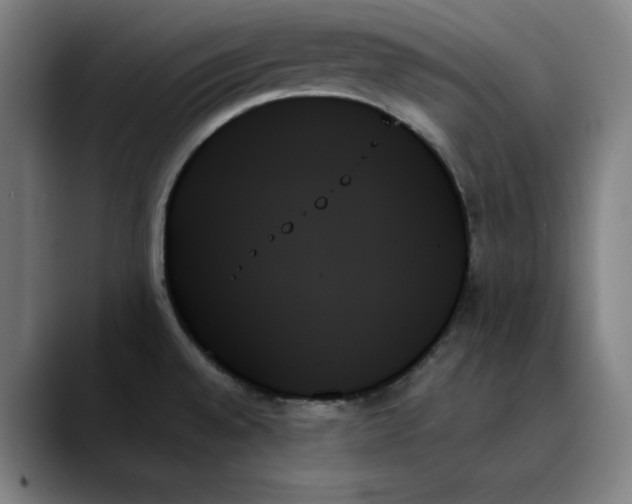 X0000089351528200707131522