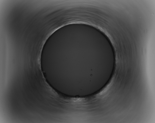 X0000089351529200707131522