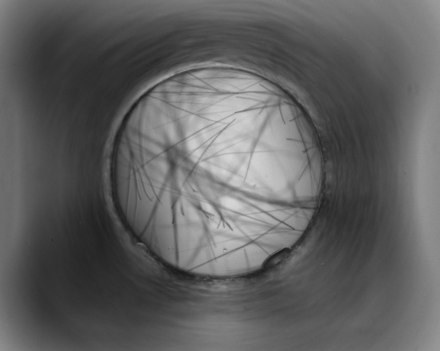 X0000089351530200707131522