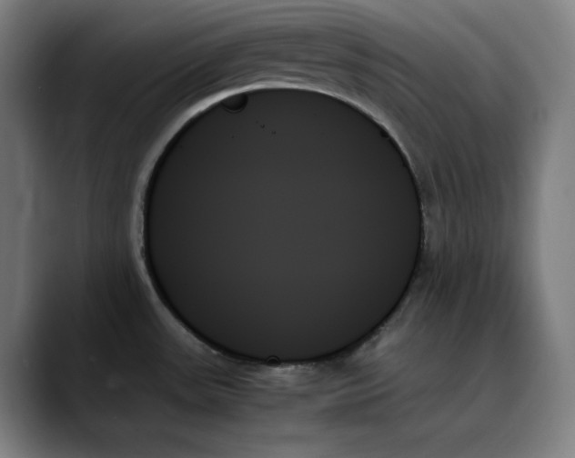 X0000089351531200707131522