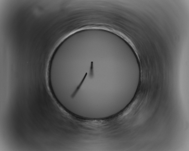 X0000089351533200707131522