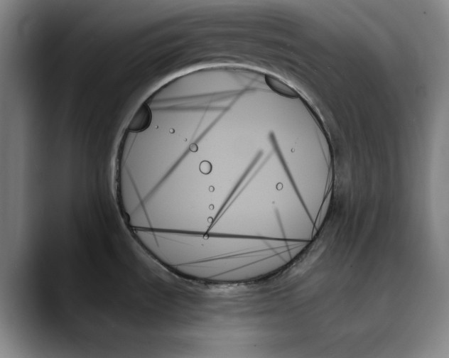 X0000089351535200707131522