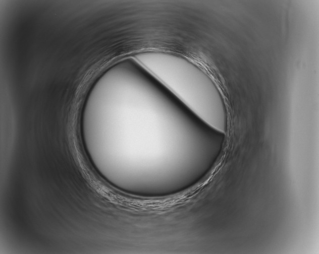 X0000089360001200706150832