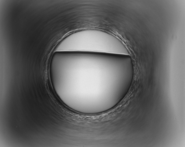 X0000089360002200706150832