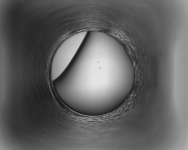 X0000089360003200706150832