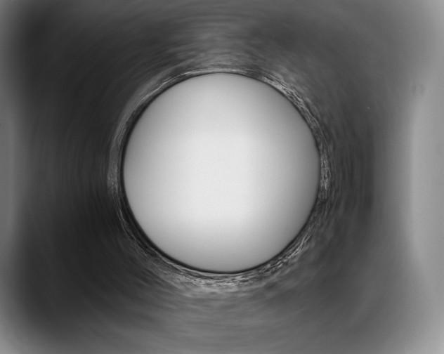 X0000089360004200706150832