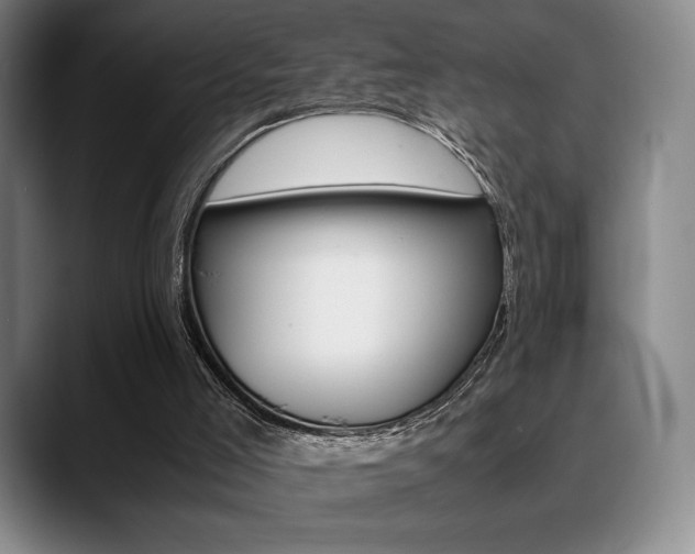 X0000089360005200706150832