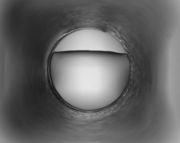 X0000089360006200706150832