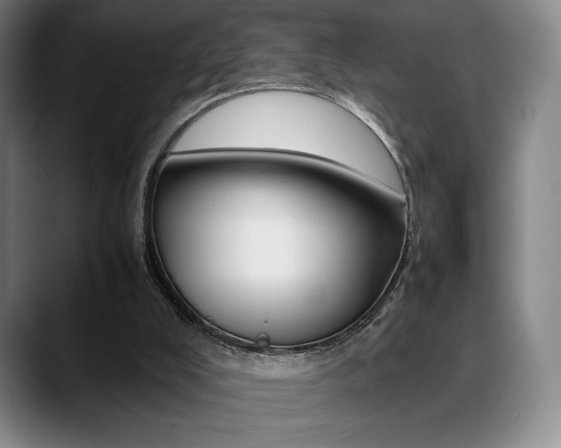X0000089360008200706150832