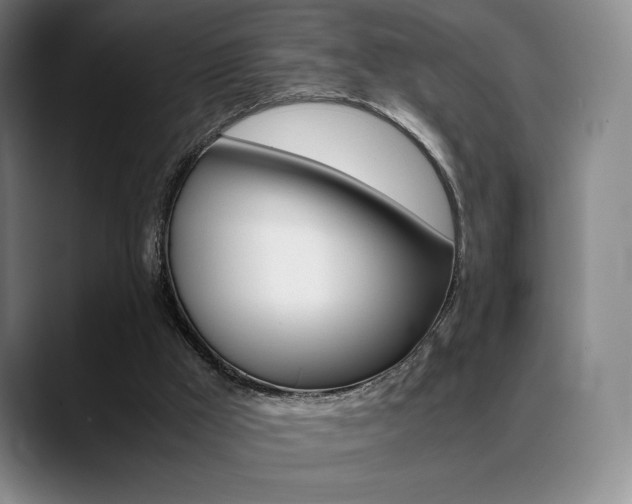 X0000089360009200706150832