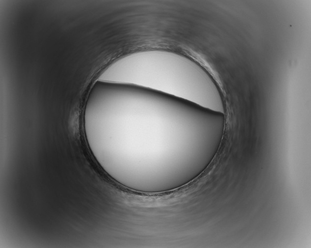 X0000089360010200706150832