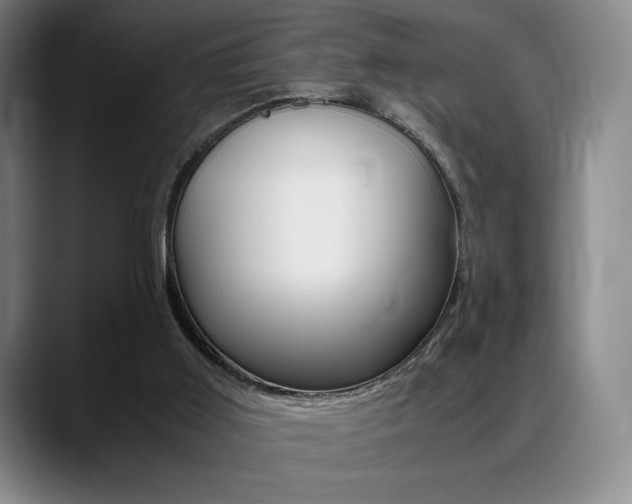 X0000089360011200706150832