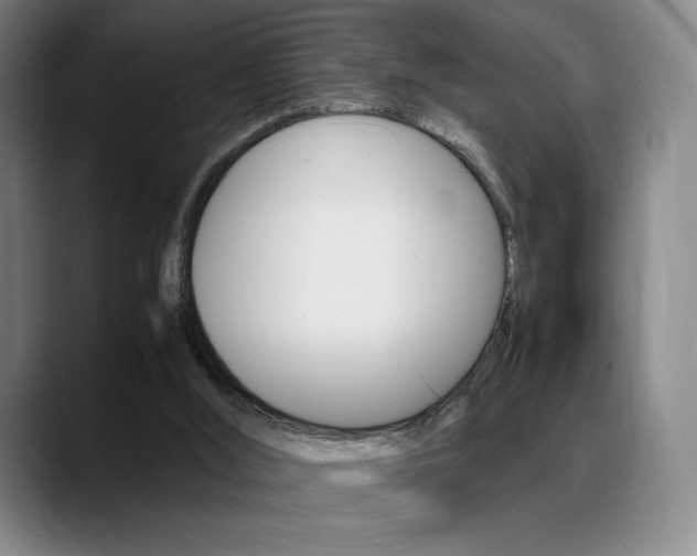 X0000089360012200706150832