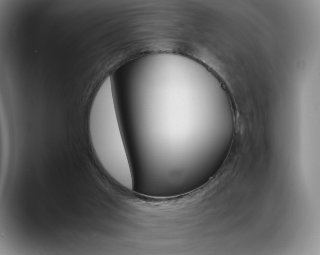 X0000089360013200706150832