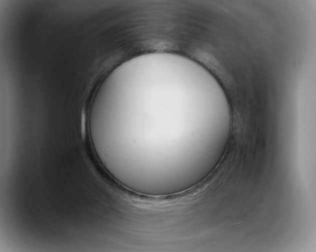 X0000089360014200706150832
