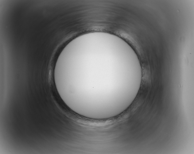 X0000089360016200706150832