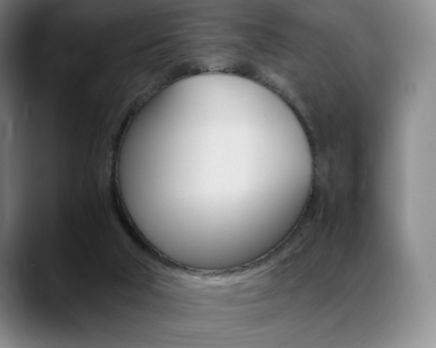 X0000089360018200706150832