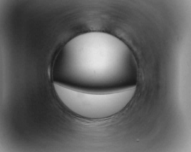 X0000089360019200706150832