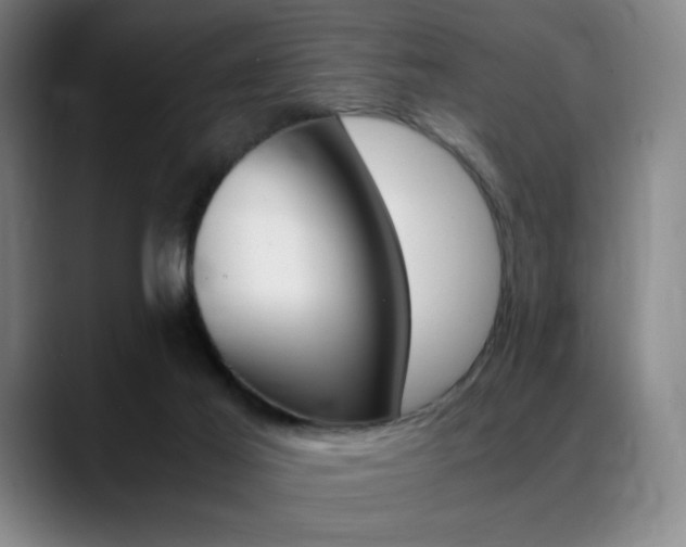 X0000089360021200706150832