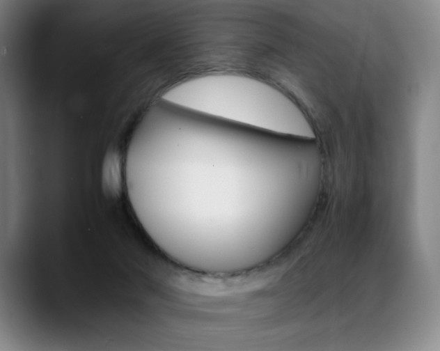 X0000089360022200706150832