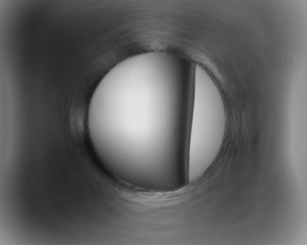 X0000089360023200706150832