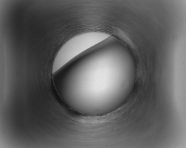X0000089360025200706150832