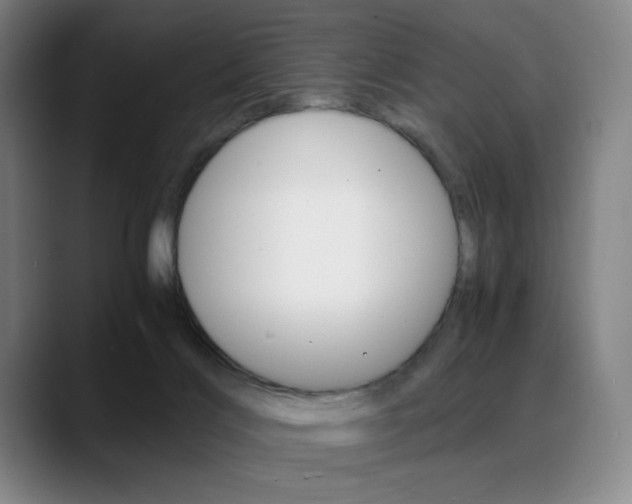 X0000089360028200706150832