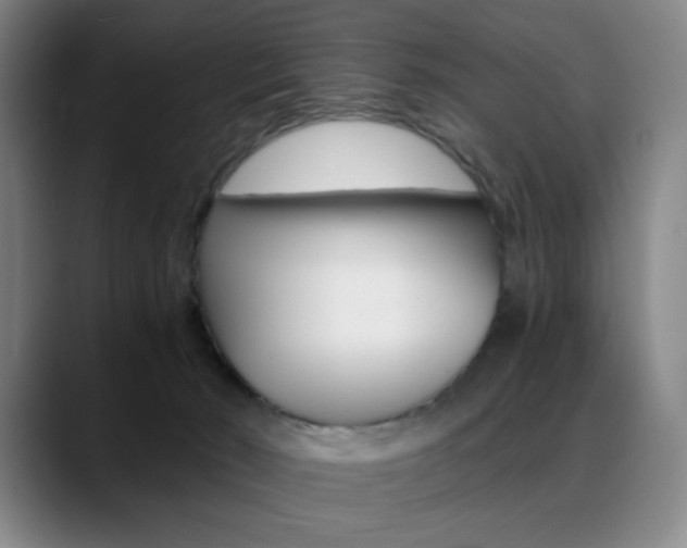 X0000089360030200706150832