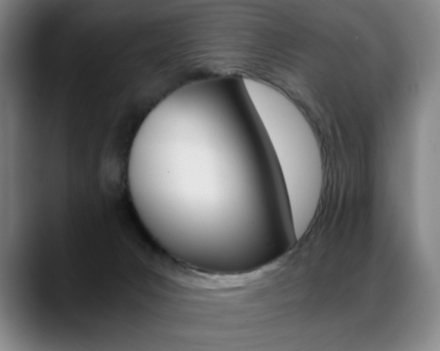 X0000089360031200706150832