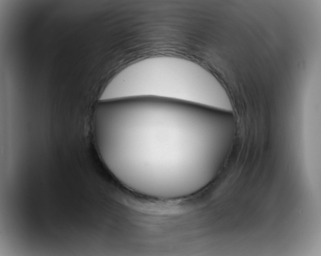 X0000089360032200706150832