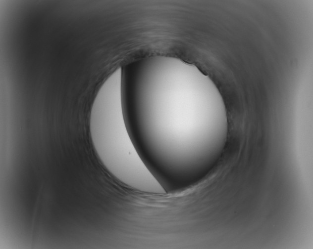 X0000089360033200706150832