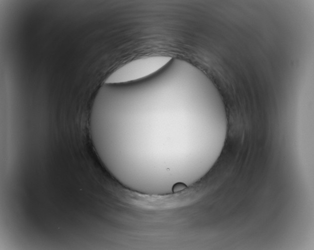 X0000089360034200706150832