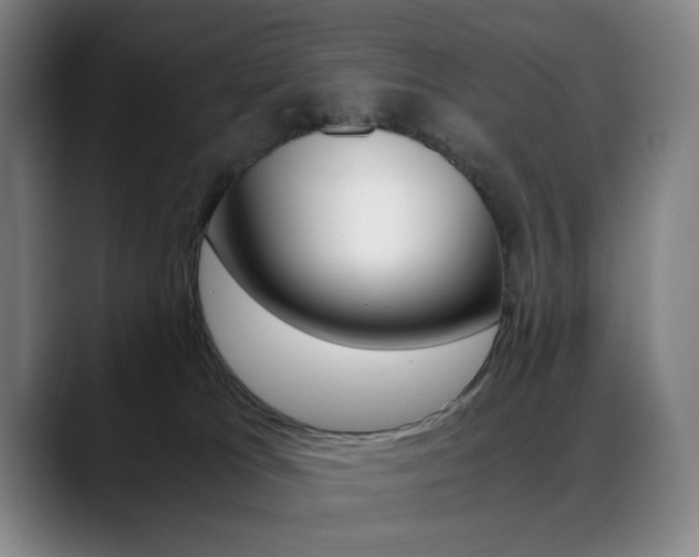 X0000089360037200706150832