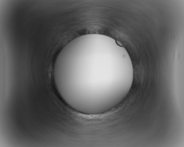 X0000089360038200706150832